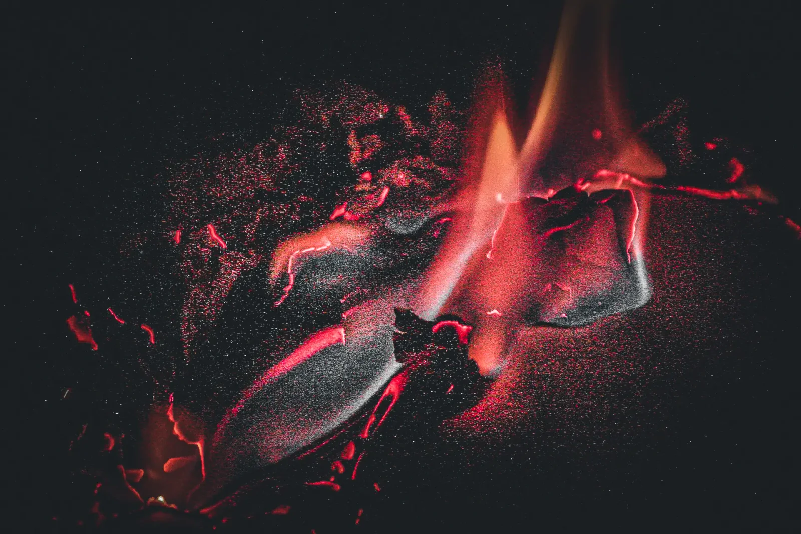 creativity photography by JRMGraphy